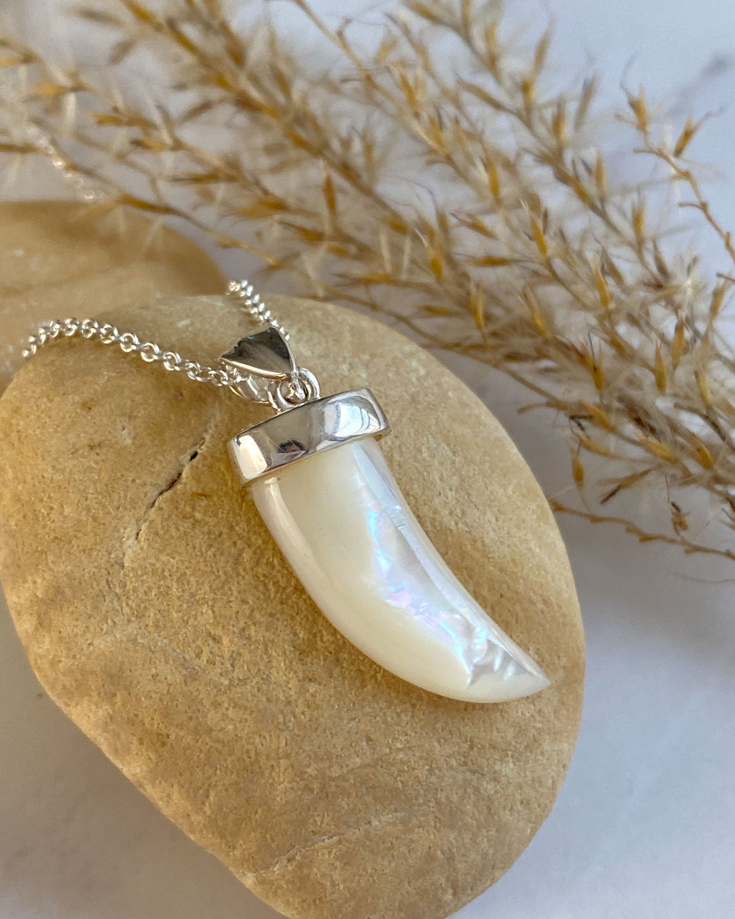 Mother of Pearl Tusk Pendant and Chain
